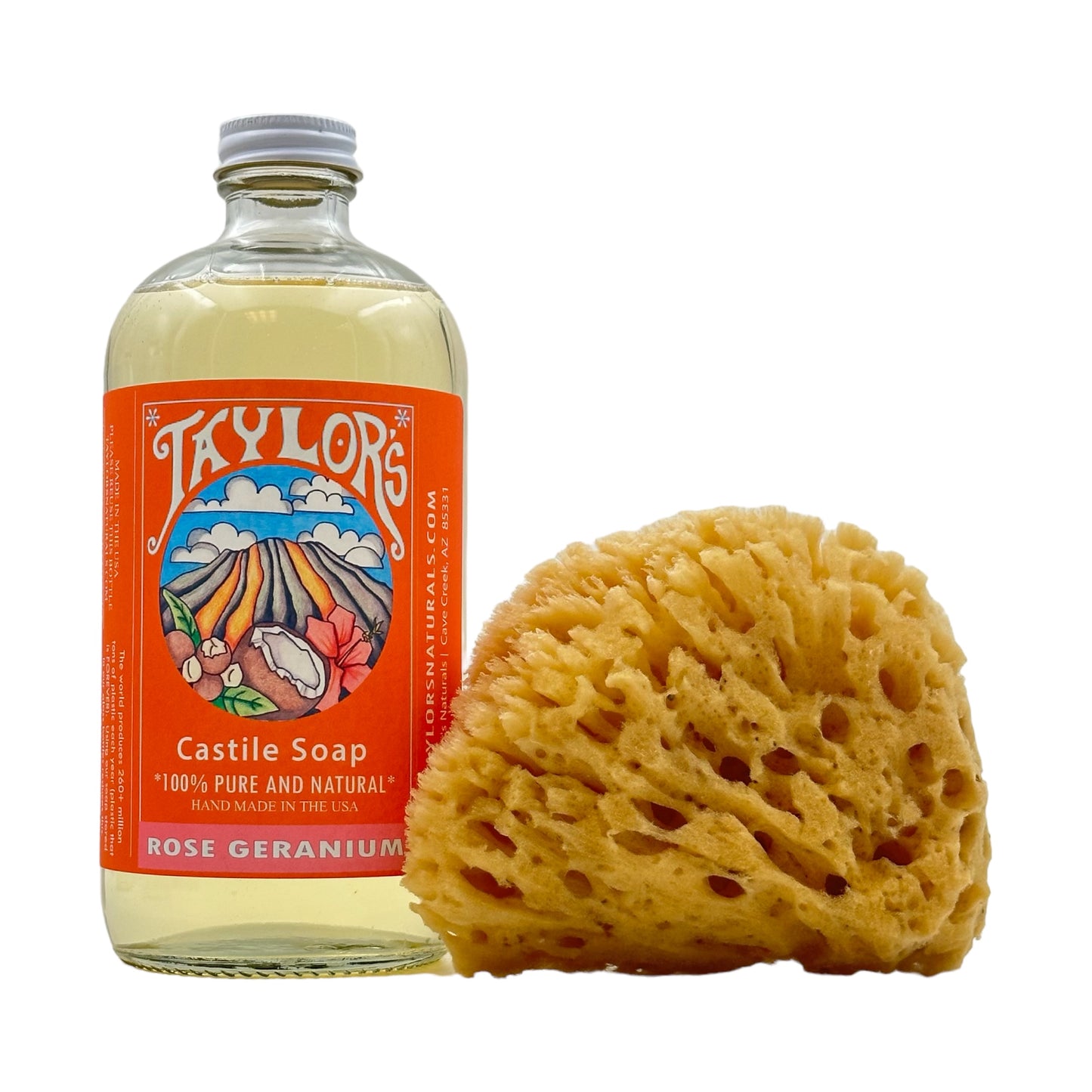 Natural Sea Sponge