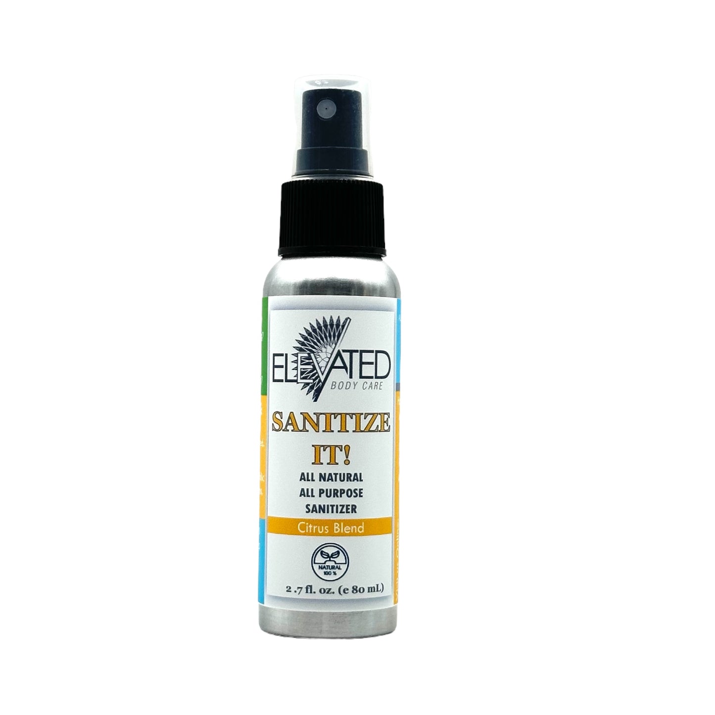 SANITIZE IT! Natural Household, Car & Surface Sanitizer Travel OR Family Size