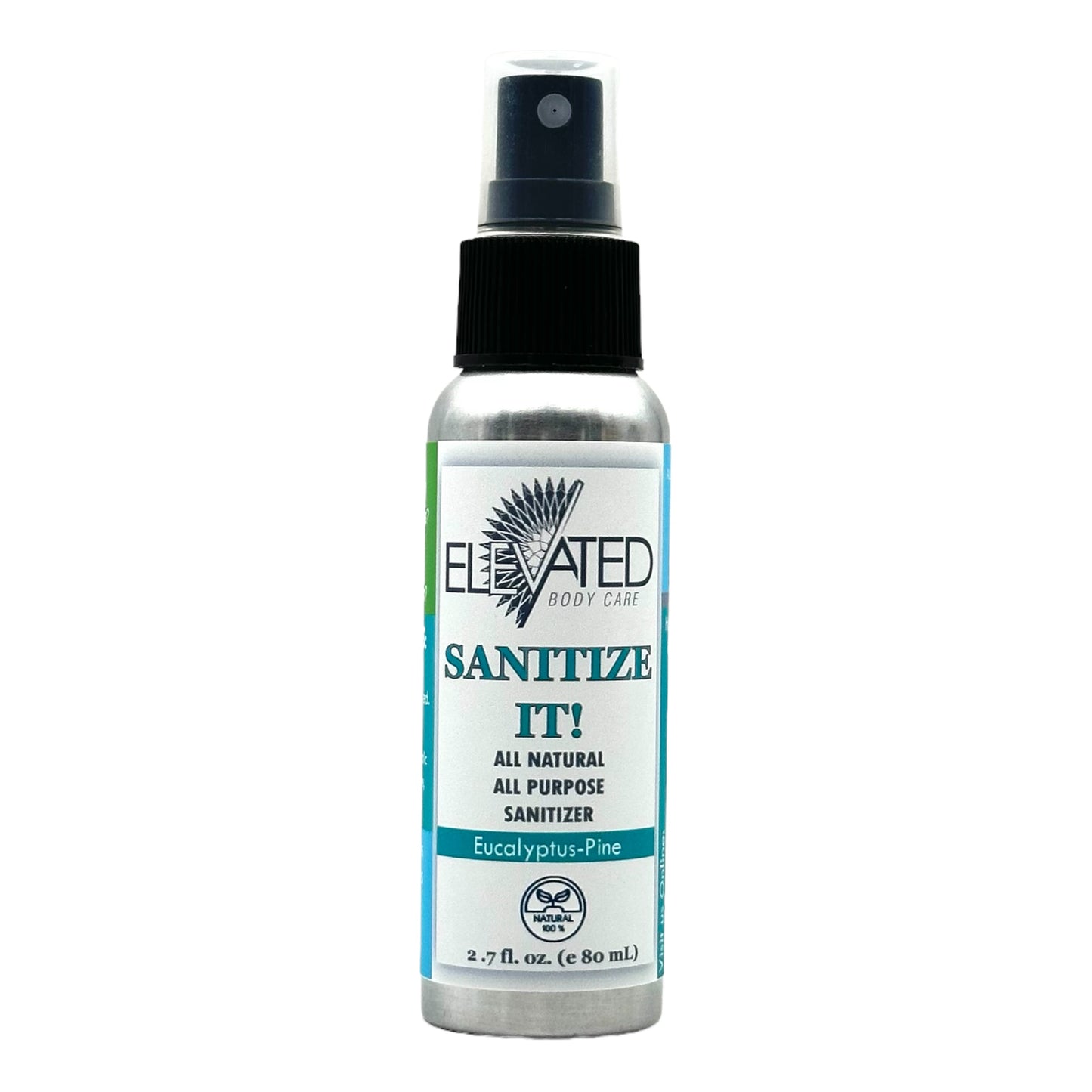 SANITIZE IT! Natural Household, Car & Surface Sanitizer Travel OR Family Size