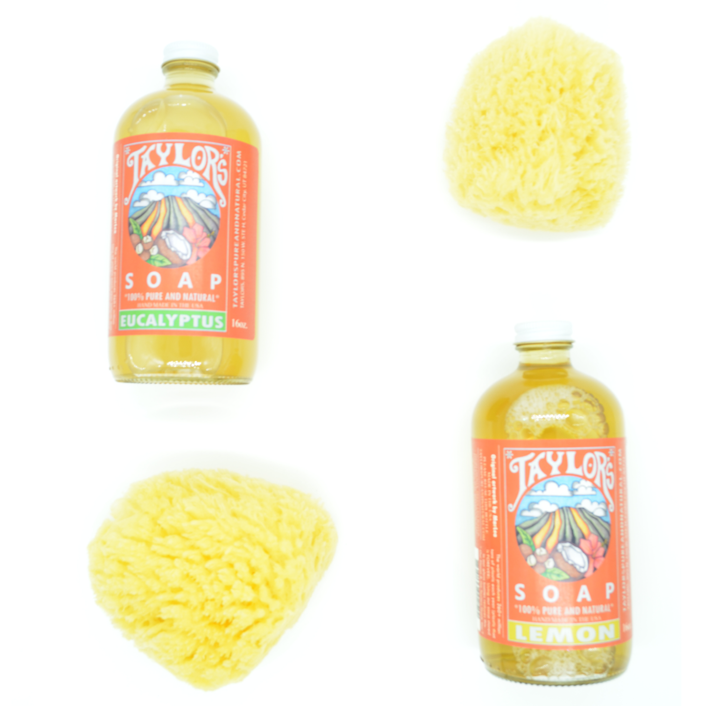 Liquid Castile Soap * ALL Purpose - 16 oz