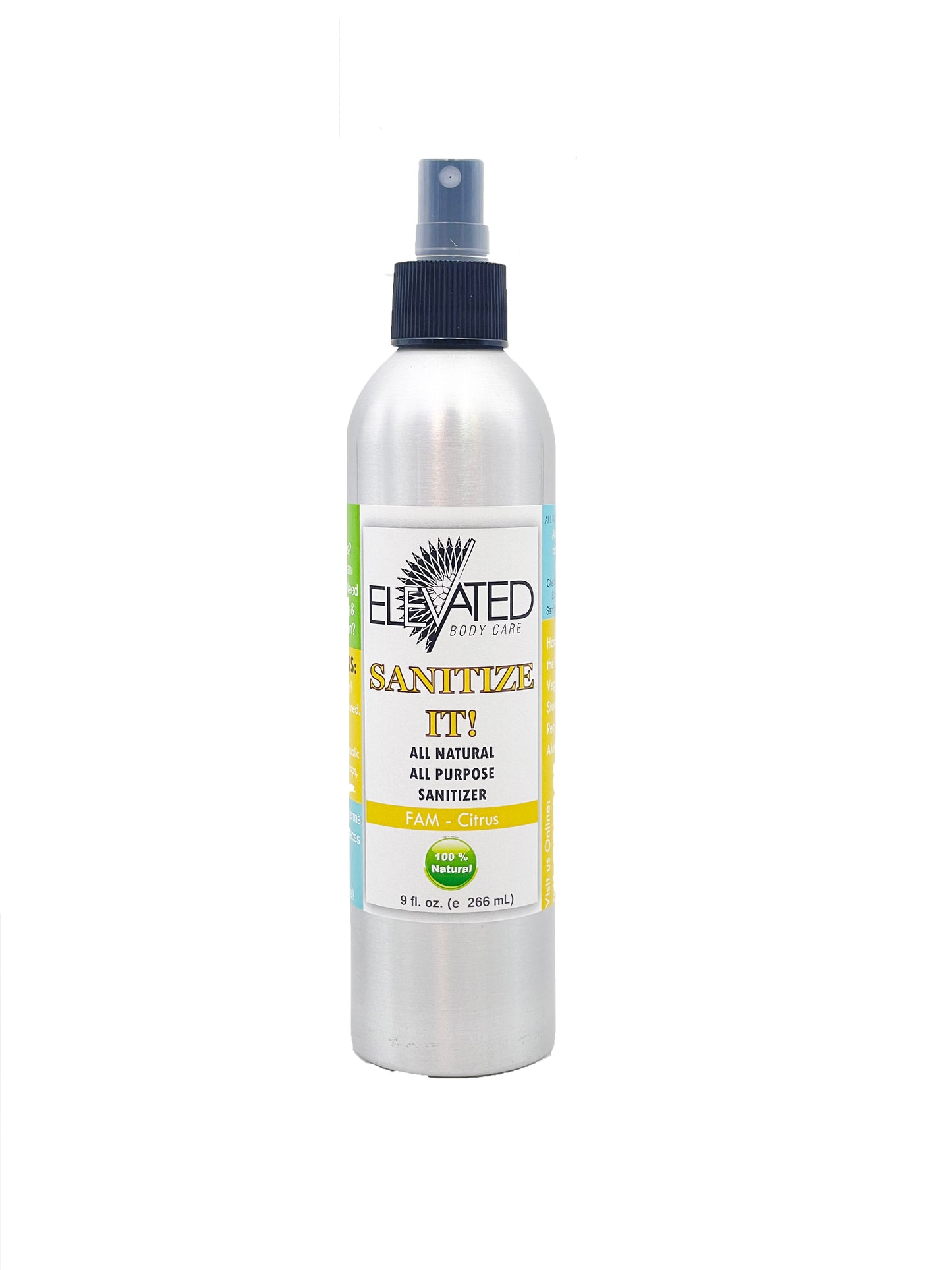 SANITIZE IT! Natural Household, Car & Surface Sanitizer Travel OR Family Size