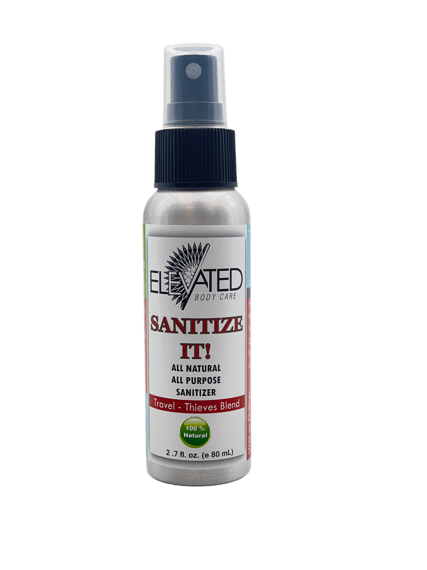 SANITIZE IT! Natural Household, Car & Surface Sanitizer Travel OR Family Size