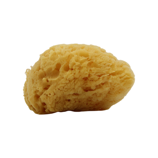 Natural Sea Sponge